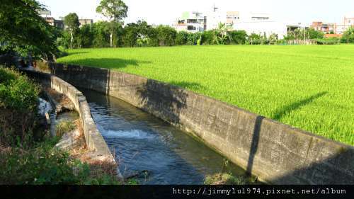 [竹北] 竹北西區(麻園、溝貝、白地)踏查 2011-06-20 012.jpg