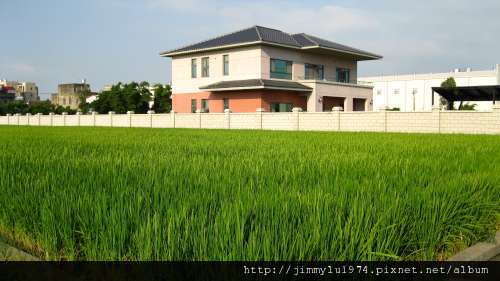 [竹北] 竹北西區(麻園、溝貝、白地)踏查 2011-06-20 017.jpg
