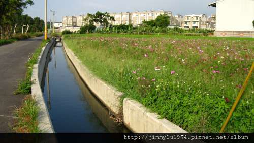 [竹北] 竹北西區(麻園、溝貝、白地)踏查 2011-06-20 032.jpg