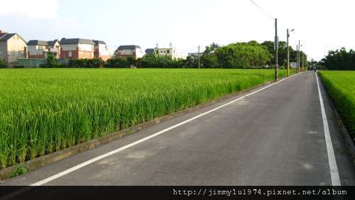 [竹北] 竹北西區(麻園、溝貝、白地)踏查 2011-06-20 049.jpg