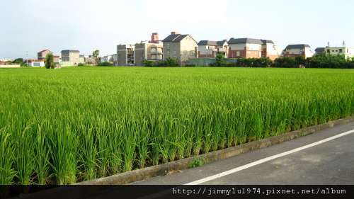 [竹北] 竹北西區(麻園、溝貝、白地)踏查 2011-06-20 050.jpg