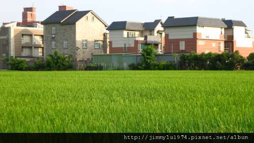 [竹北] 竹北西區(麻園、溝貝、白地)踏查 2011-06-20 051.jpg