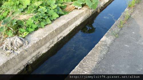 [竹北] 竹北西區(麻園、溝貝、白地)踏查 2011-06-20 060.jpg