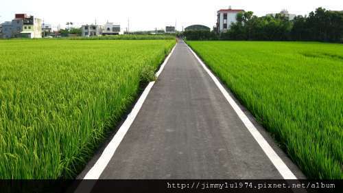 [竹北] 竹北西區(麻園、溝貝、白地)踏查 2011-06-20 066.jpg