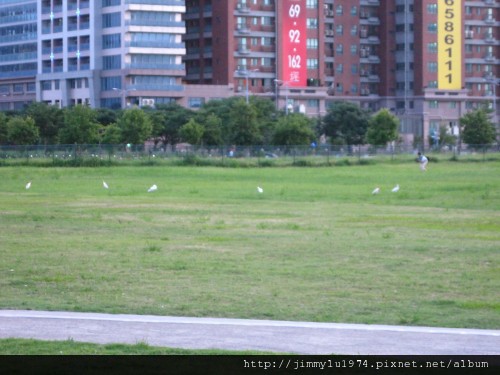 [竹北] 竹北高鐵特區踏查(光明六路東二段)2011-07-06 085.jpg