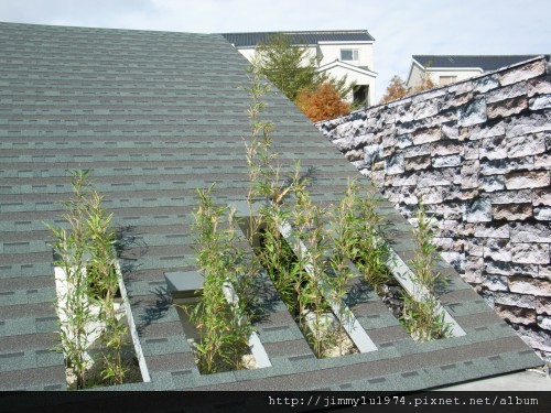 [竹東] 買地造屋「翠羽」2012-02-17 056.jpg