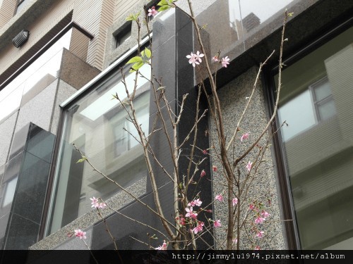 [新竹] 竹慶建設「築沁」2012-02-22 017