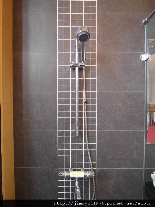 [竹南] 天尊建設「峯墅」2012-03-28 016
