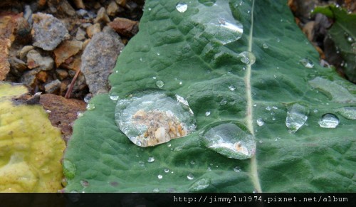 [台中] 谷野會館簡介(谷野會館提供)2012-04-20 006