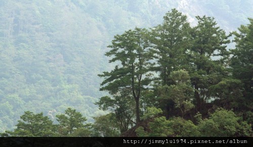 [台中] 谷野會館簡介(谷野會館提供)2012-04-20 035