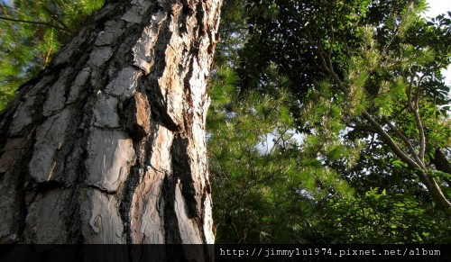 [台中] 谷野會館簡介(谷野會館提供)2012-04-20 041