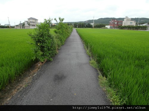 [竹北] 騰聯建設「金穗」2012-05-16 067