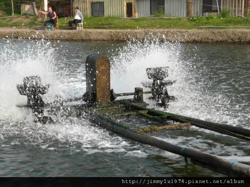 [竹北] 美食,沙灘,魚塭,古道=竹北好美 2012-05-23 062