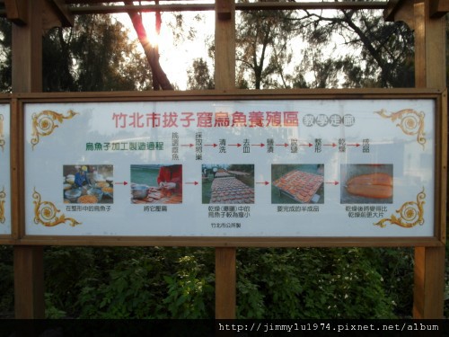 [竹北] 美食,沙灘,魚塭,古道=竹北好美 2012-05-23 069