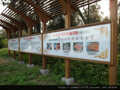 [竹北] 美食,沙灘,魚塭,古道=竹北好美 2012-05-23 070