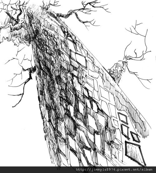 「微建築」得獎作品「頻率」by 蔣子桐 2012-06-18 19 樹皮