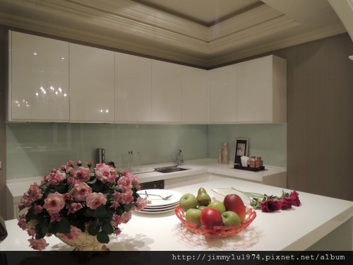 [新竹] 太睿建設「太睿國寶」2012-11-06 063