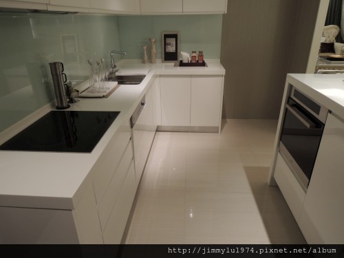 [新竹] 太睿建設「太睿國寶」2012-11-06 065