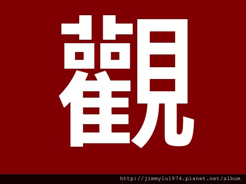 2013代表字