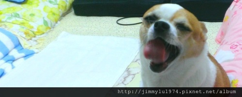 [得獎的是] 得獎名單.jpg