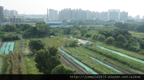 [新竹千甲] 金鋐建設「金鋐微美」(大樓)基地周遭環境 2013-11-25 022.jpg