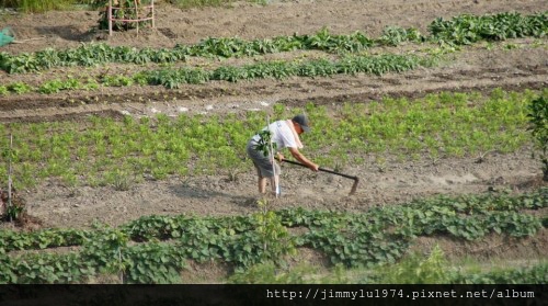[新竹千甲] 金鋐建設「金鋐微美」(大樓)基地周遭環境 2013-11-25 023.jpg