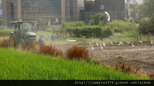 [新竹千甲] 金鋐建設「金鋐微美」(大樓)基地周遭環境 2013-11-25 032.jpg