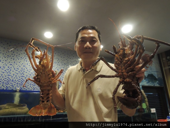 永久活魚海鮮6-比臉還大的龍蝦