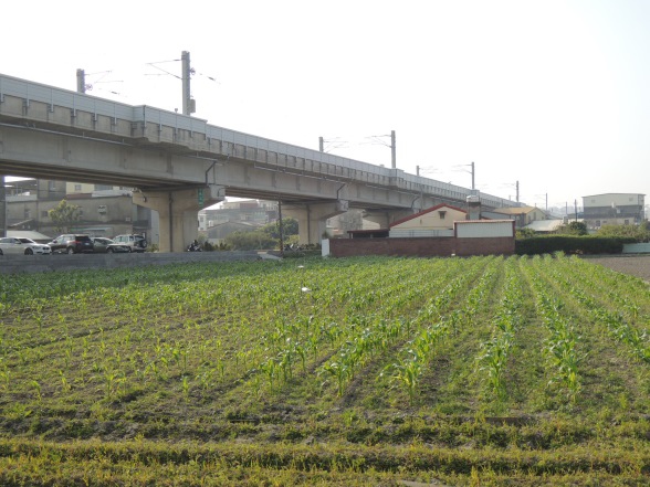 [住週專欄] 住週踏查09：20150124_02.JPG