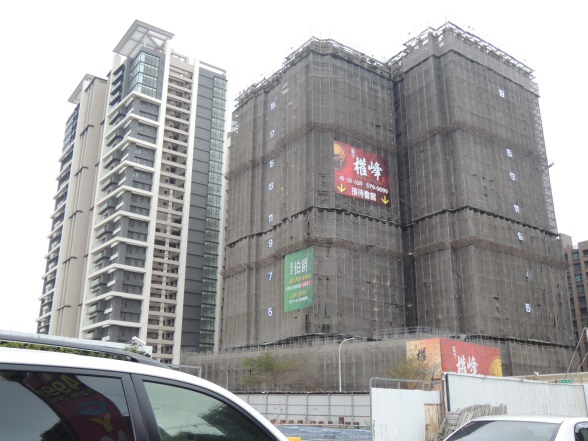 [住週專欄] 住週踏查10：20150129_19.JPG
