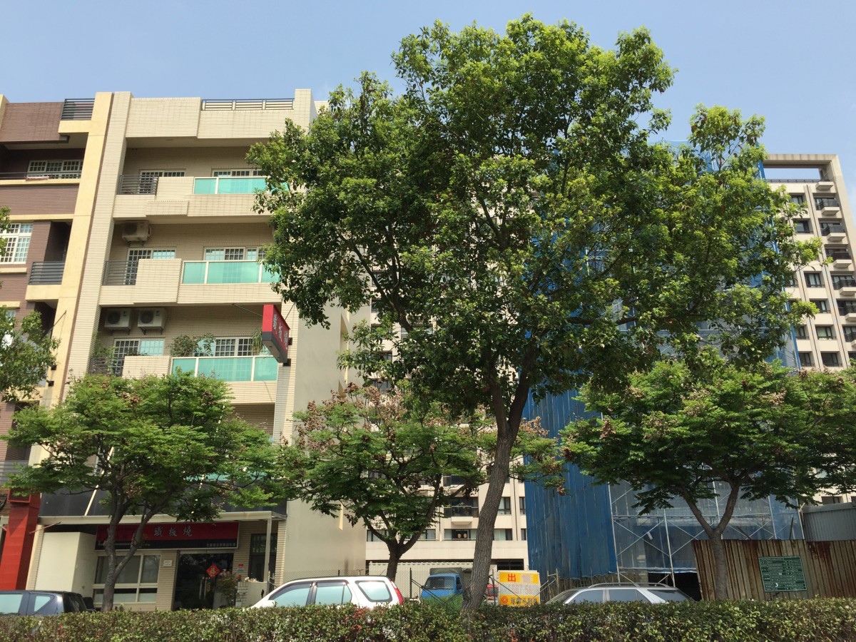[竹北水岸] 竹北水岸建築群踏查2015-03-19 00073.jpg