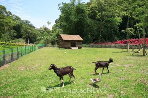 佳陞建設「上青城」23社區公園.jpg