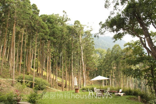 雲起山莊06基地現場.JPG