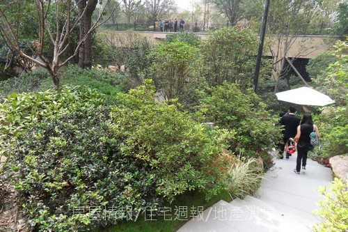 星河灣地產控股「上海星河灣」32.JPG