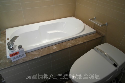 展麗開發「江山賦」2010-12-11 14.JPG