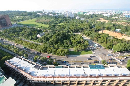 雄基建設「原風景」78俯瞰樹海(中).JPG