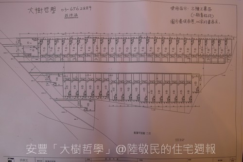 安豐建設「大樹哲學」2011-03-03 04.JPG