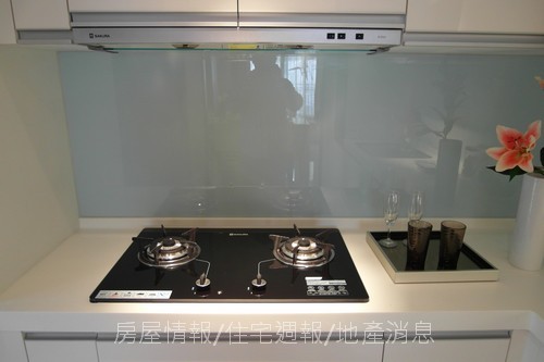 展麗開發「江山賦」2010-12-11 09.JPG
