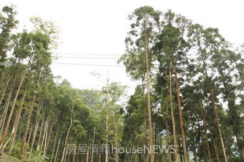 雲起山莊09基地現場.JPG