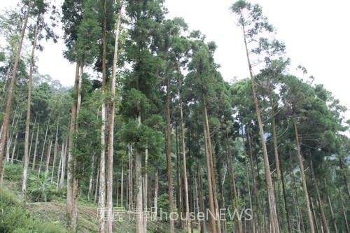 雲起山莊11基地現場.JPG