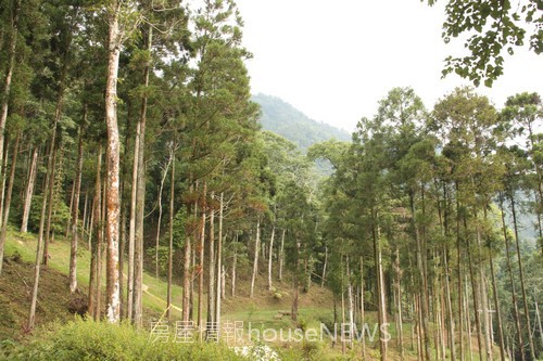 雲起山莊03基地現場.JPG