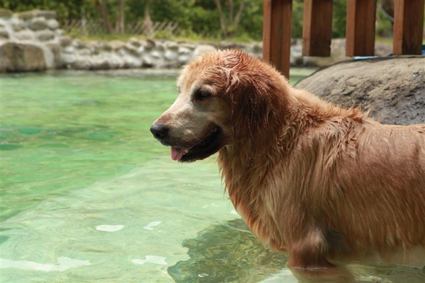 IMG_3882.JPG IMG_3882.JPG