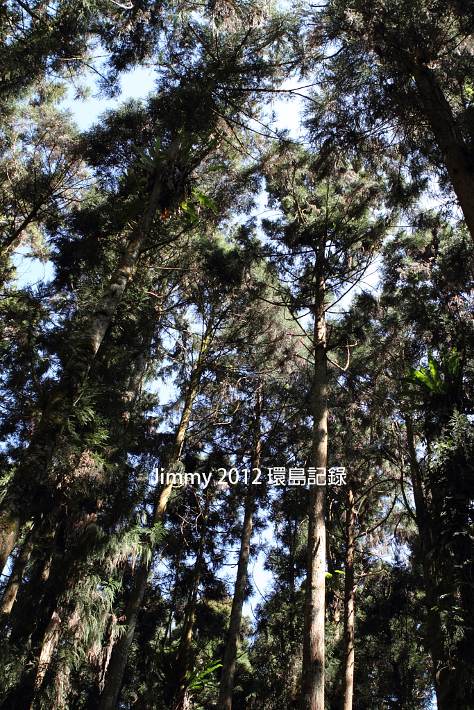 20110305_0134 20110305_0134