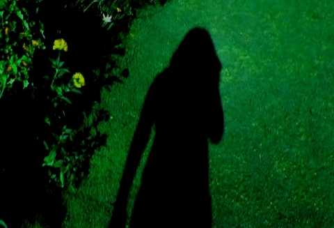 h.jpg h.jpg