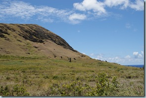 DSC03903