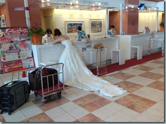 120736456274 120736456274