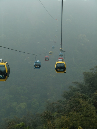 CIMG8543.JPG CIMG8543.JPG