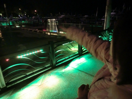 CIMG8637.JPG CIMG8637.JPG