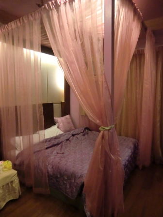 CIMG8656.JPG CIMG8656.JPG