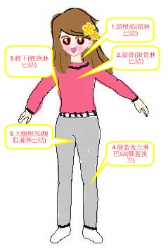 20121013 荷柏園淋巴精油-Jan1